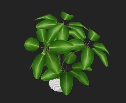 ֯ȫۼ¹ȷﲡ79673754